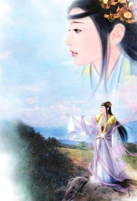 风梦飞云